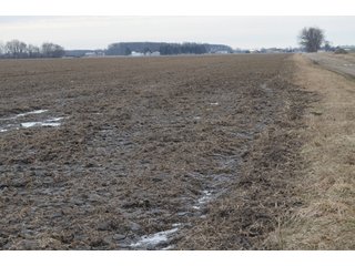 Property photo 21 - 173 +/- Acres Offered in 3 Tracts - Ohio Farmland